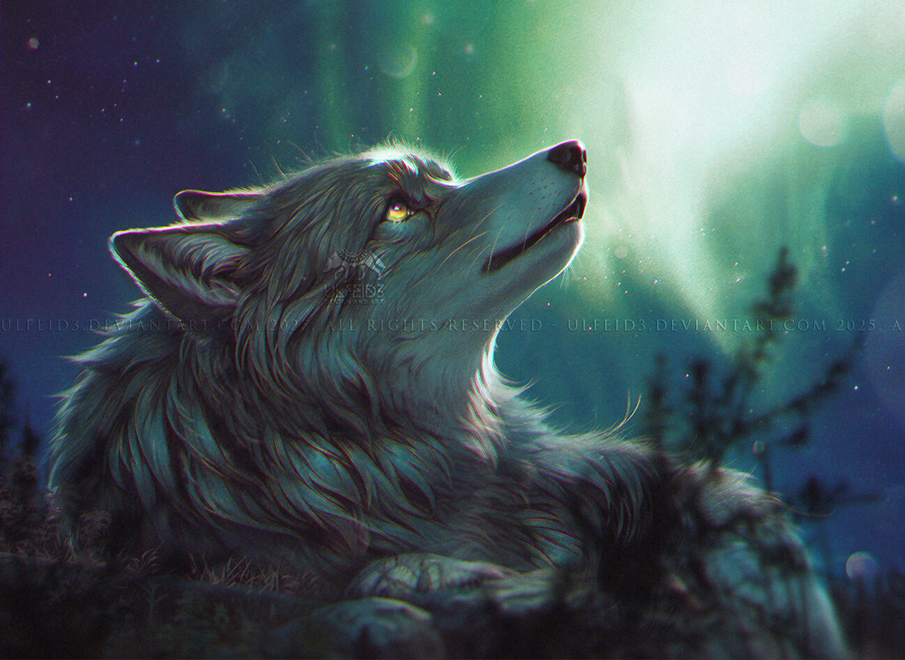 FULL RENDER HALFBODY - Northern lights by Ulfeid3