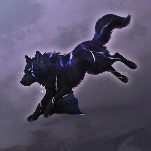 Full render feral black wolf with bat wings design by Ulfeid3