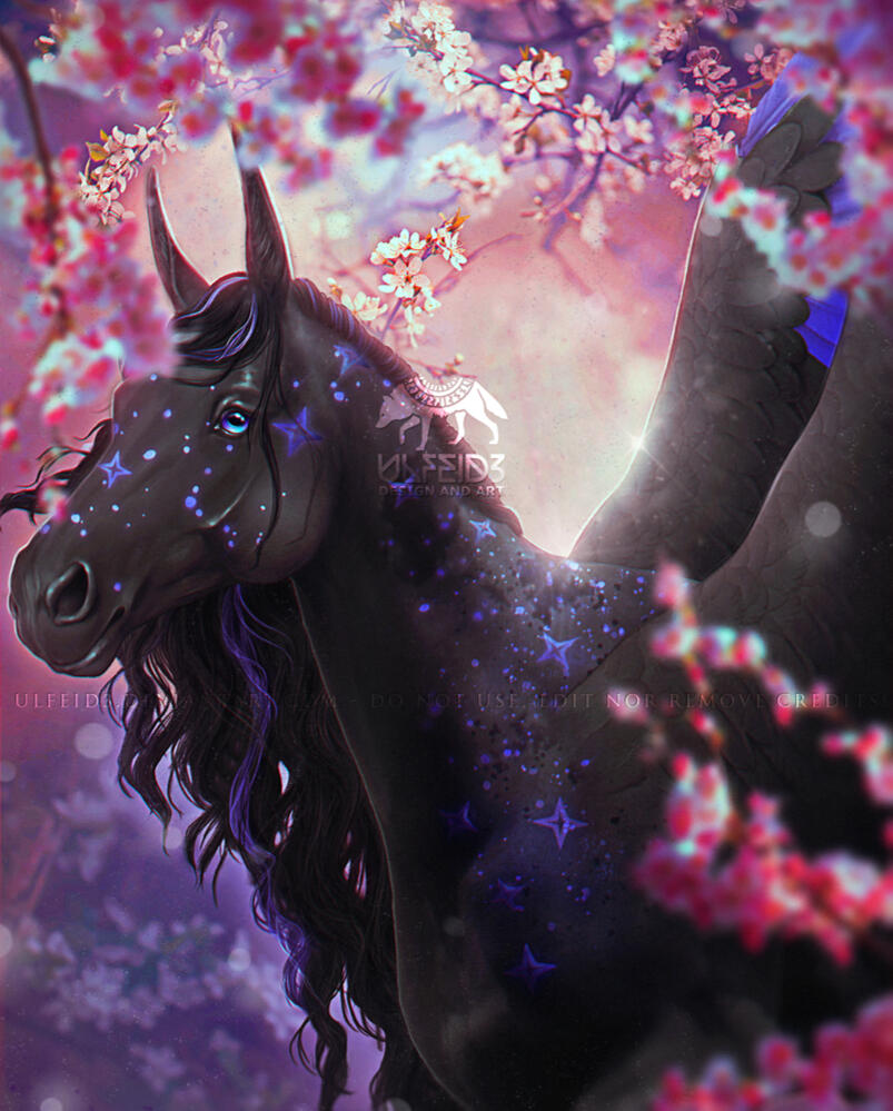 Cherry blossom Cherry blossom