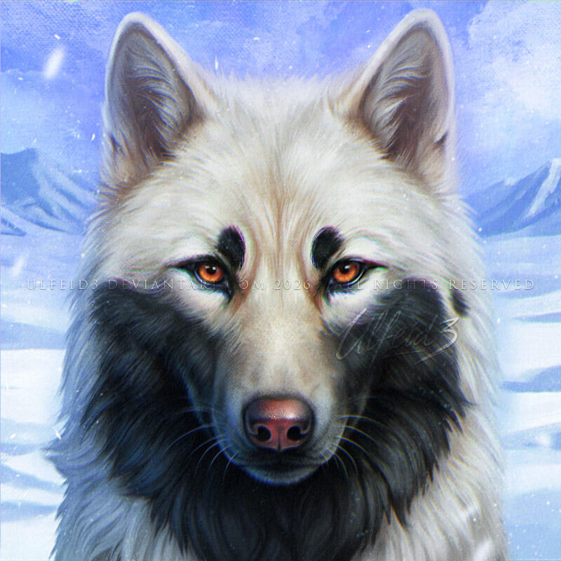 Snow wolf