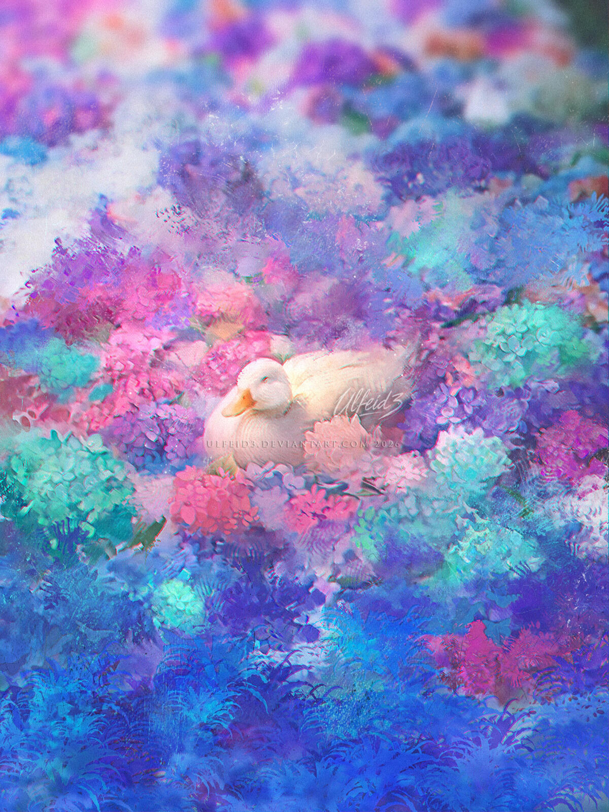 Midsummer nap dream Digital illustration of a cozy white duck in a sea of hydrangea colorful flowers by Ulfeid3
