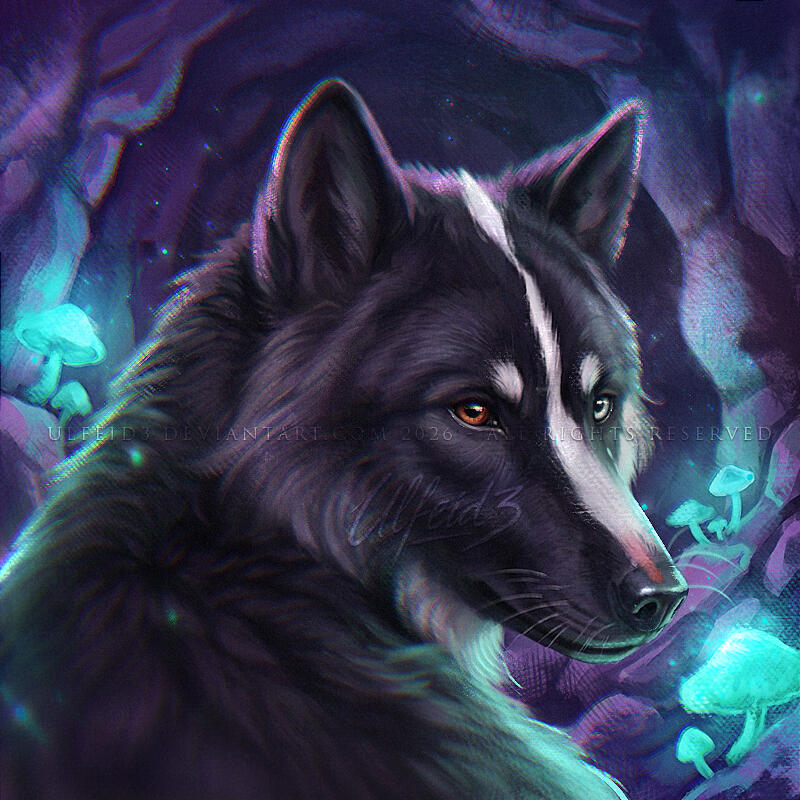 PAINTERLY ANIMAL PORTRAIT - Wolf by Ulfeid3 PAINTERLY ANIMAL PORTRAIT - Wolf by Ulfeid3