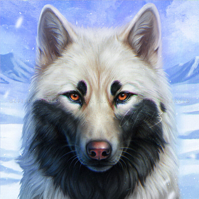 PAINTERLY WOLF PORTRAIT PAINTERLY WOLF PORTRAIT