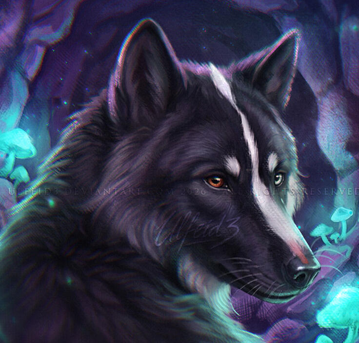 PAINTERLY WOLF PORTRAIT Digital illustration portrait of a black and white wolf in a glowing mushroom cave by Ulfeid3