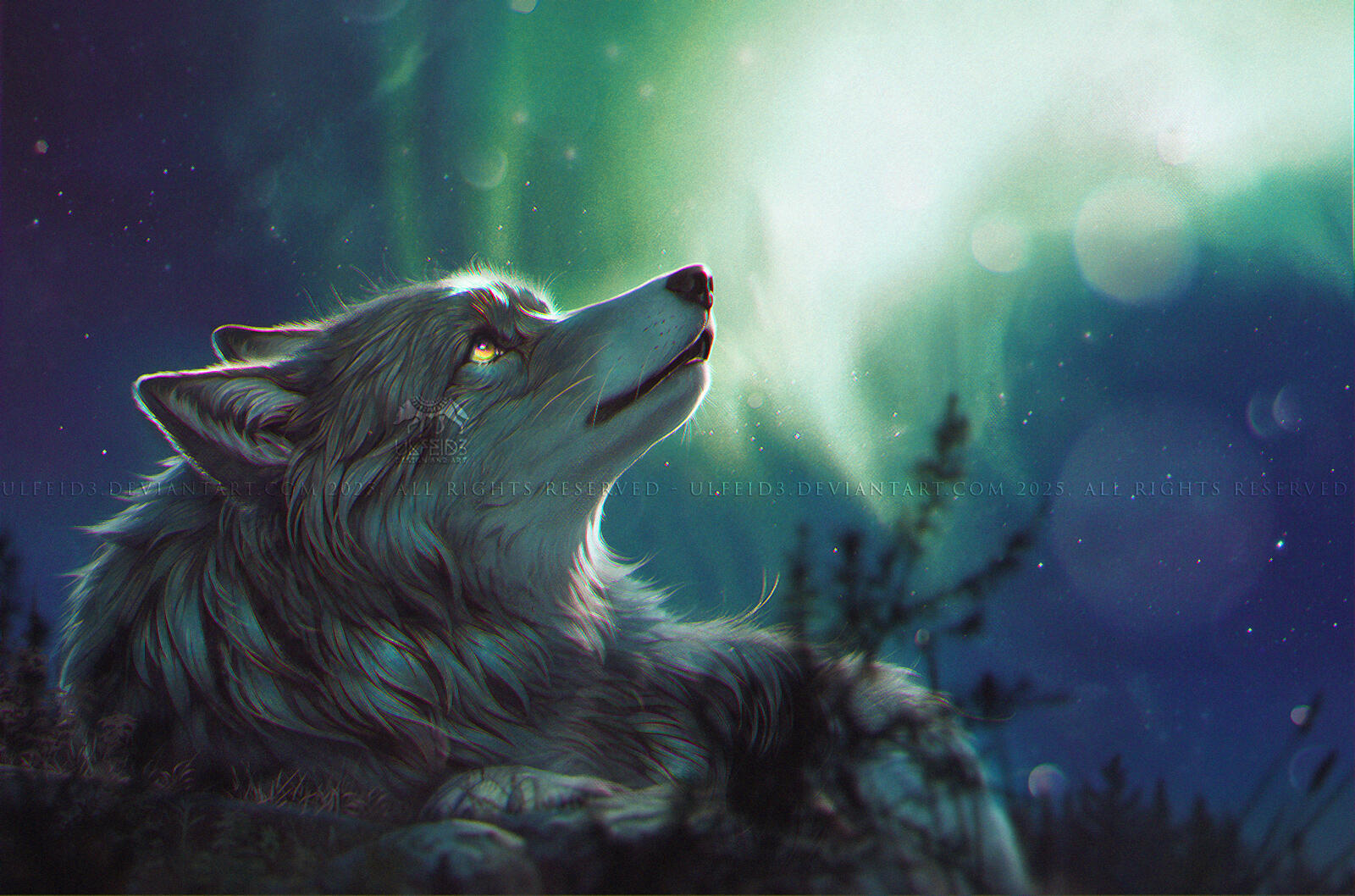 DD - "Northern lights" - Awarded by KovoWolf
