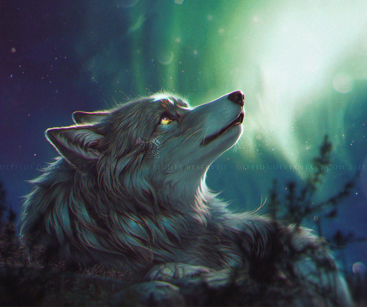 Full render lonely wolf stargazing at the aurora borealis illustration by Ulfeid3